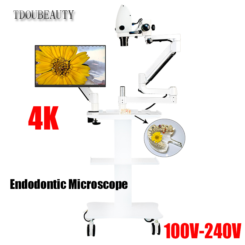 4K Dental Electron Microscope  - Teeth Whitening Video 评论和价格