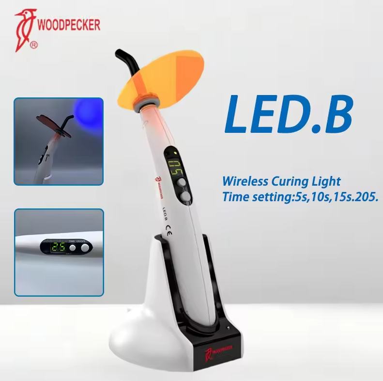 Dental Curing Light Woodpecker - Whitening Teeth Dentist 评论和价格