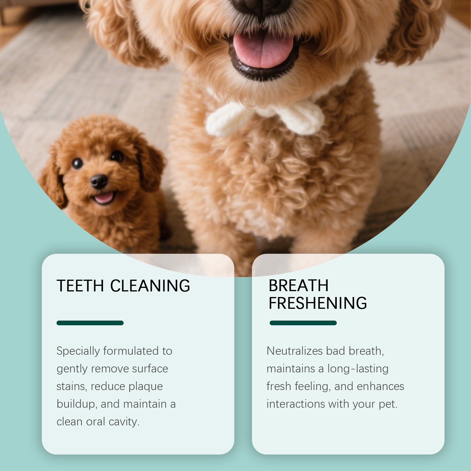 Dog Tooth Cleaning Powder Plaq - Teeth Whitening Powder 评论和价格